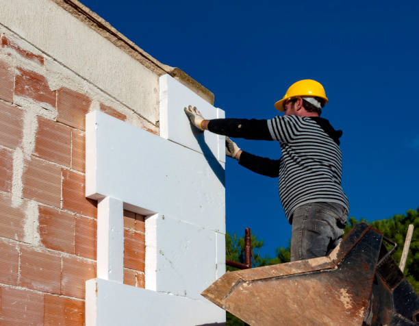 Best Spray Foam Insulation in Palmhurst, TX