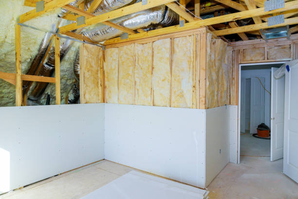 Best Residential Insulation in Palmhurst, TX