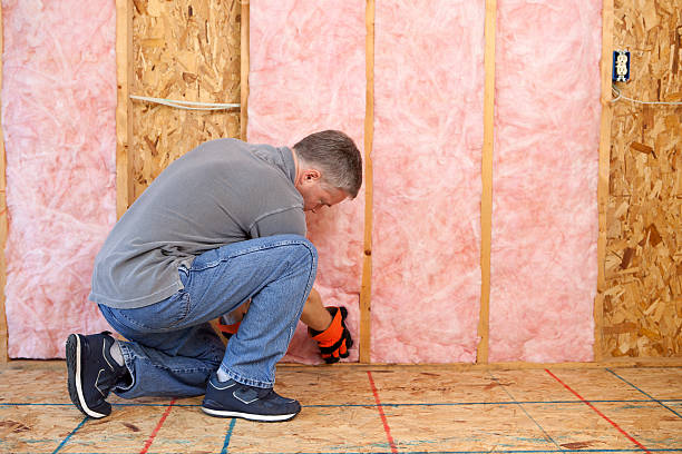 Best Energy Efficiency Insulation in Palmhurst, TX