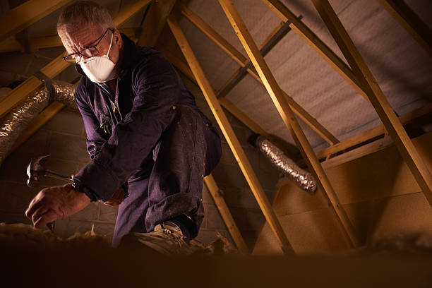 Best Fiberglass Insulation in Palmhurst, TX